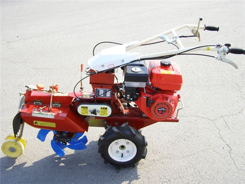 廣西出姜機(jī)